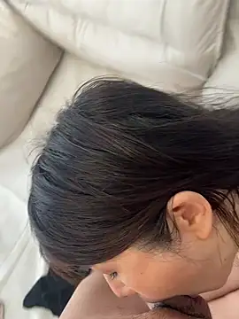Domi-520 网络视讯表演