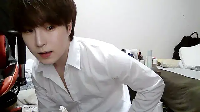 Show webcam de Pman331