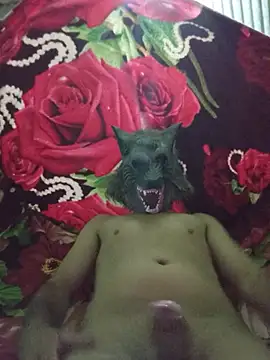 Show de Leonardo10000 na webcam