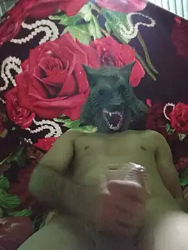 Pokazy przed kamerką – Leonardo10000