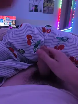 dufu_srbn Webbikameraesitys