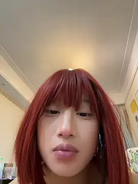 skix12 Show Webcam
