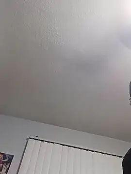 illroots36 Webcam-Show