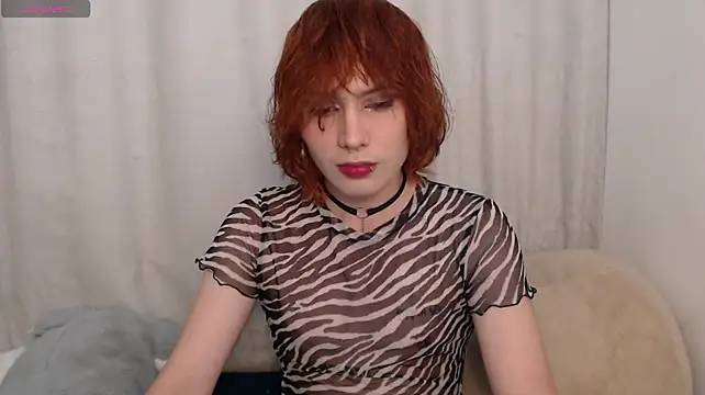Brunodeluca__n Webbikameraesitys