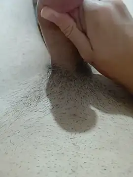 Pertunjukan Kamera Web Dick223489