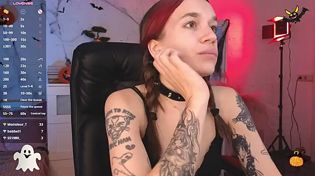Show Webcam de Darksolar