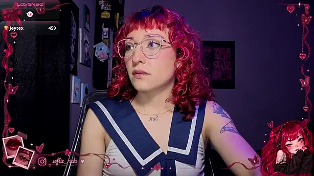 Show webcam de softienicki