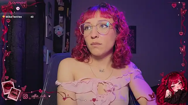 Show webcam de softienicki