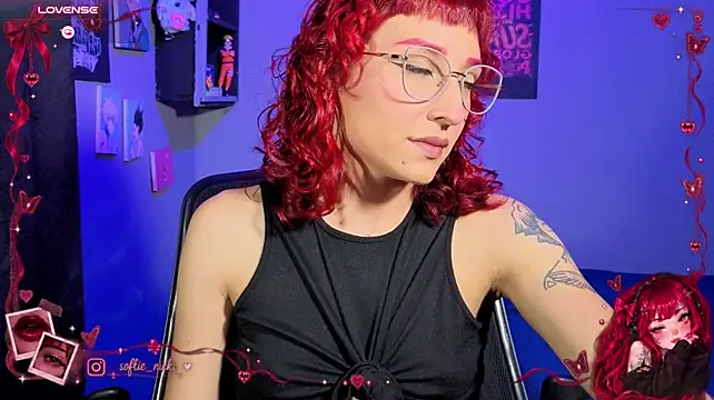 Show de softienicki na webcam