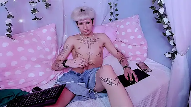 הופעת וובקאם של FinnEcho