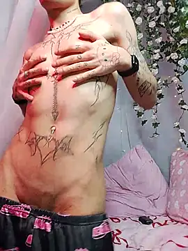 عرض كام FinnEcho