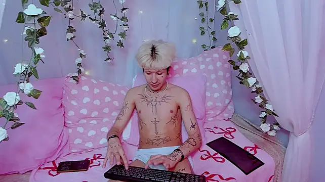 FinnEcho Webcam-Show