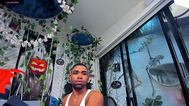 Вебкам-шоу AidenRoss_