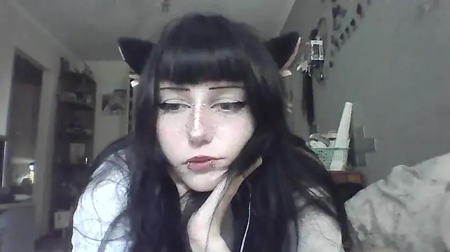 wonderSwift Webcam show