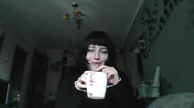 Show Webcam de wonderSwift