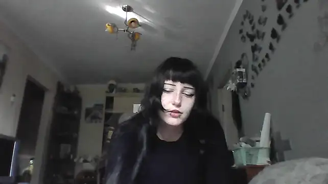 Show Webcam de wonderSwift