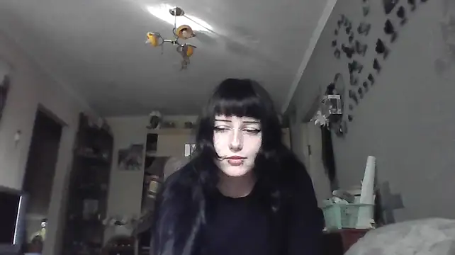 Show webcam de wonderSwift