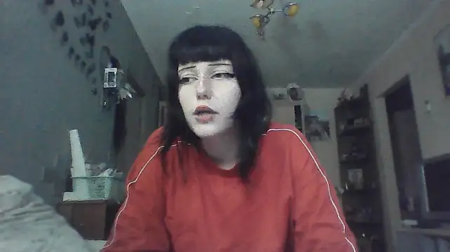Show de wonderSwift na webcam