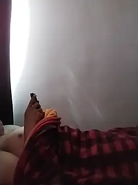 jmdlsn Webbikameraesitys