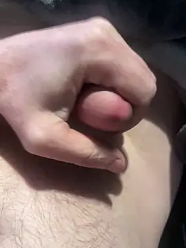 Ich00081 Webcam-Show