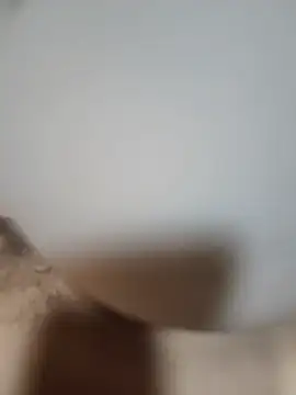 عرض كام Bosca5
