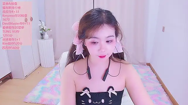 swie11 Show Webcam