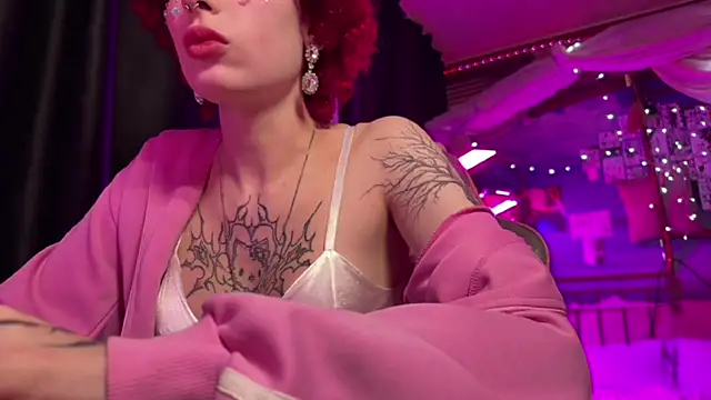 Ameli_Rousen Webbikameraesitys