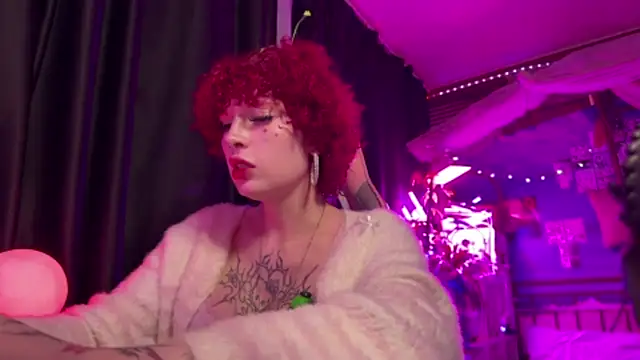 Ameli_Rousen Webbikameraesitys
