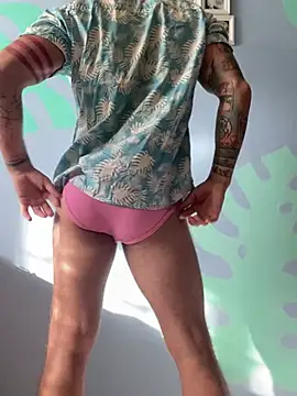 Show webcam de FableScott