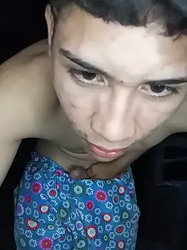 Show de webcam de wuino