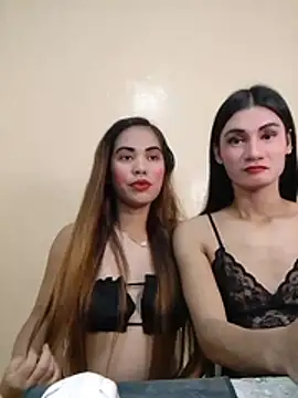 WildpinayXtsBcockn Webbikameraesitys