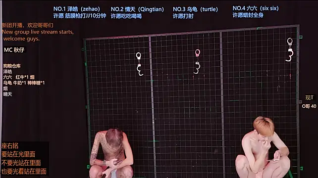 Eclipse-001 Show in webcam
