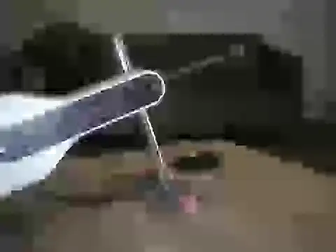 Vincent_Hale 网络视讯表演