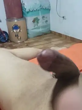 Show webcam de Dieguitoledezma