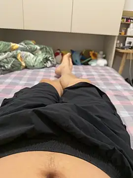 Show Webcam de xiaojun0371