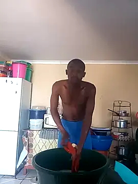 Newsummerjozin Webbikameraesitys