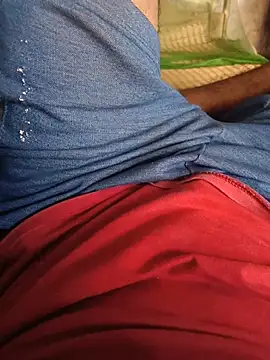 nextion_7 Webcamshow