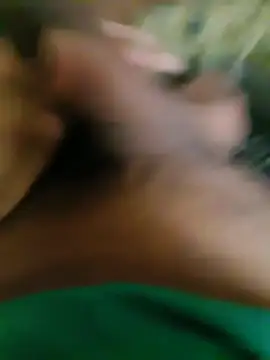 nextion_7 Webcam-Show