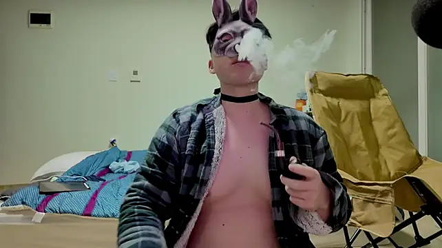 bori1617 Webcam-Show