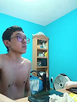 VaelNet Webcam-Show