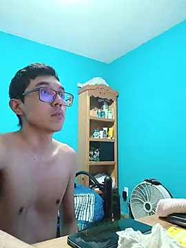 VaelNet Webcam Show