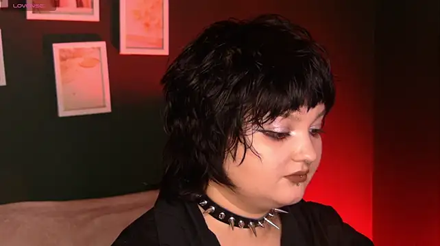 Pokazy przed kamerką – VixenDom