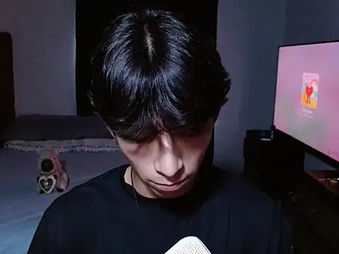 AvenaBoyn Webbikameraesitys