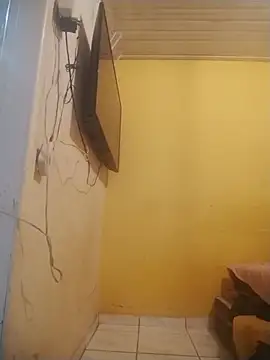 veriador ওয়েবক্যাম শো