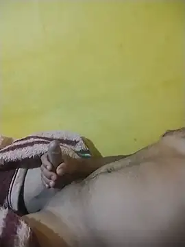 veriador's Webcam Show