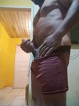 veriador Webcam show