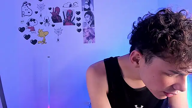 Show webcam de xtanner