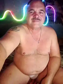 NuDisT_47n Webbikameraesitys
