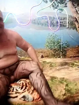 NuDisT_47 webcam show