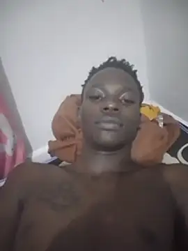 milesbeen Webbikameraesitys